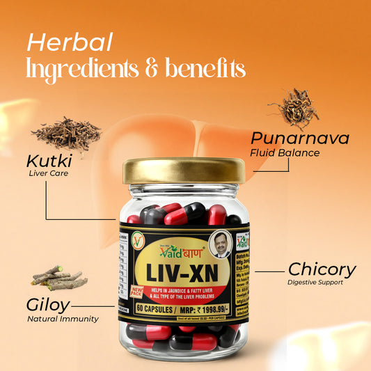 Vaidban LIV-XN Capsules - Advanced Liver Support Supplement for Fatty Liver, Natural Liver Health & Detox, Herbal Formula for Overall Liver Care