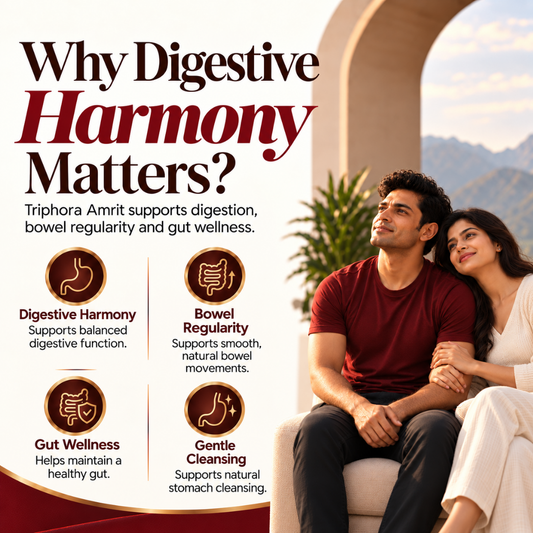 Vaidban Triphora Amrit Triphala Powder (Churna) – Ayurvedic Digestive Powder for Gut Health & Bowel Regularity