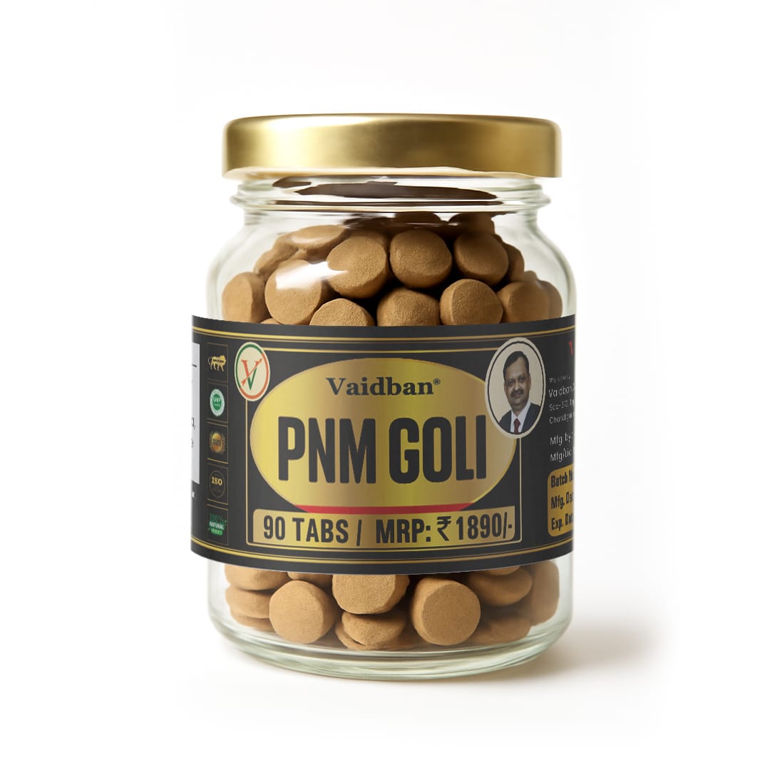 Vaidban PNM Goli for Ayurvedic Solution for Inflammation Relief | 90 Tablets