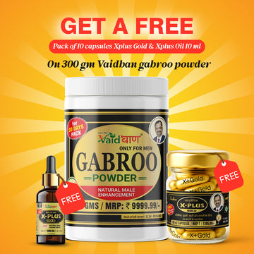 Vaidban Gabroo Powder