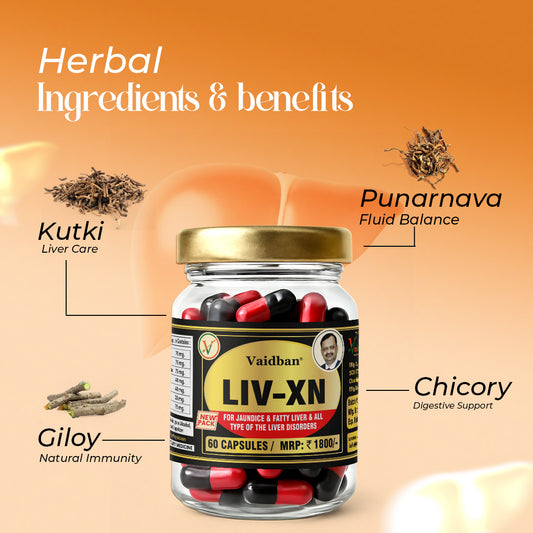 Vaidban LIV-XN Capsules - Advanced Liver Support Supplement for Fatty Liver, Natural Liver Health & Detox, Herbal Formula for Overall Liver Care