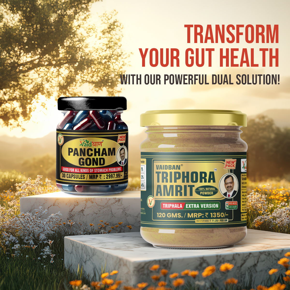Vaidban Pancham Gond & Triphora Amrit – The Ultimate Digestive Health Combo and Weight Control!