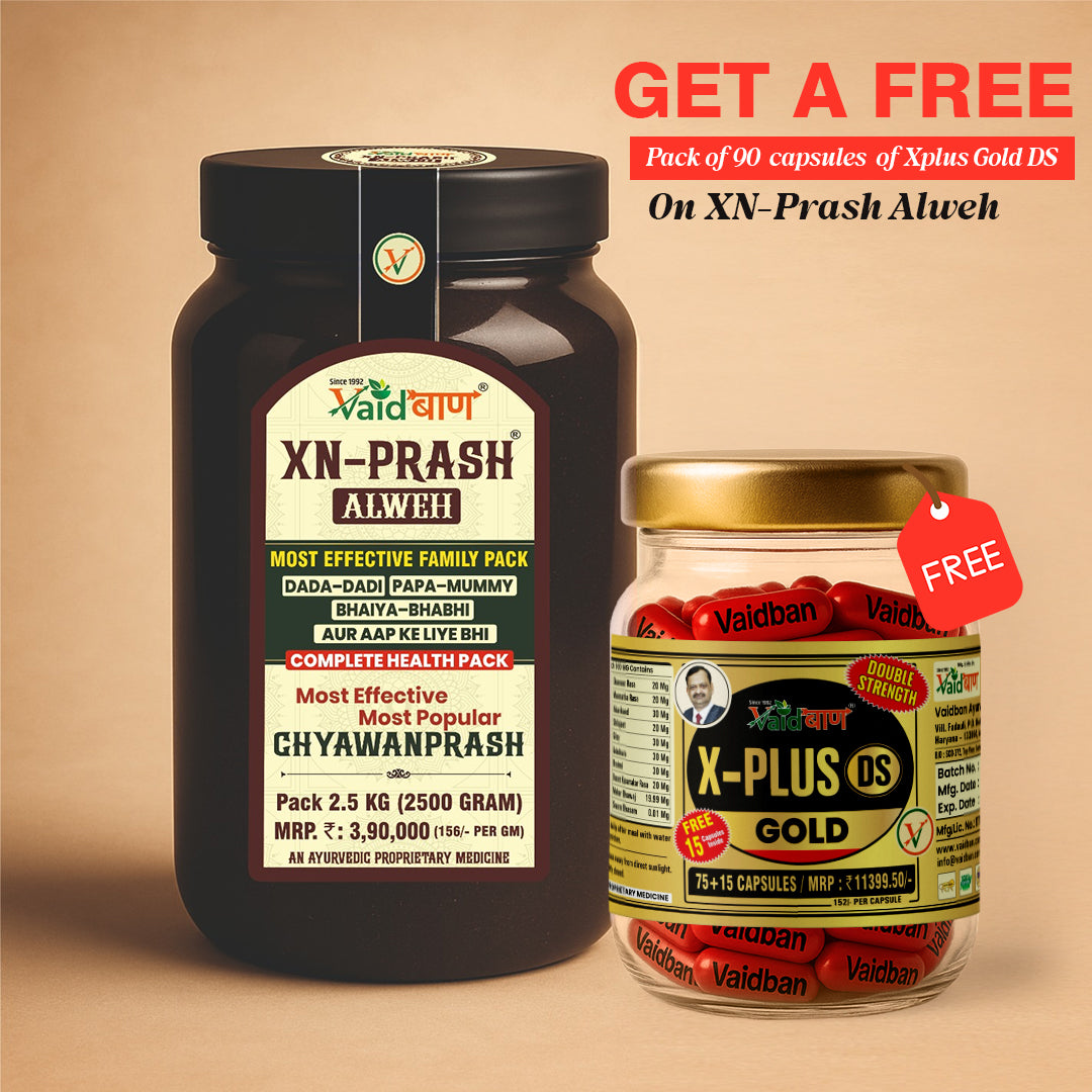 Vaidban XN-Prash Alweh – Boost Strength, Stamina & Immunity Naturally for the Whole Family