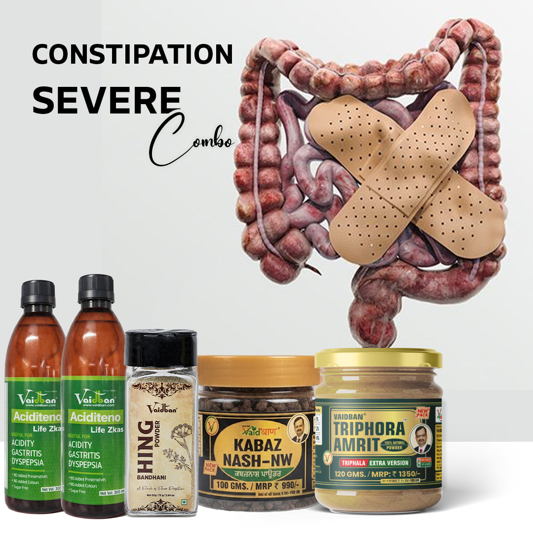 Vaidban Ayurvedic digestive care kit with herbal churna, goli and syrup