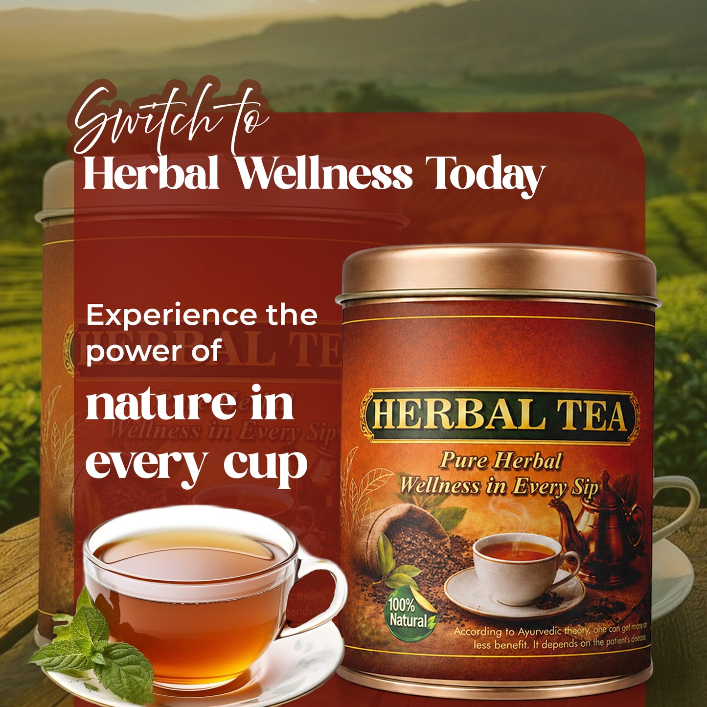 Vaidban Herbal Tea – Pure Herbal Wellness in Every Sip
