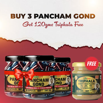 Vaidban Pancham Gond Combo – 3x Capsules + Free Triphala : Stomach Relief & Detox