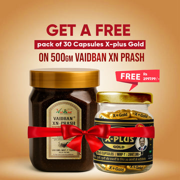 Vaidban XN-Prash – Extra Premium Chyawanprash with Pure Gold Leaf for Anti-Ageing Excellence