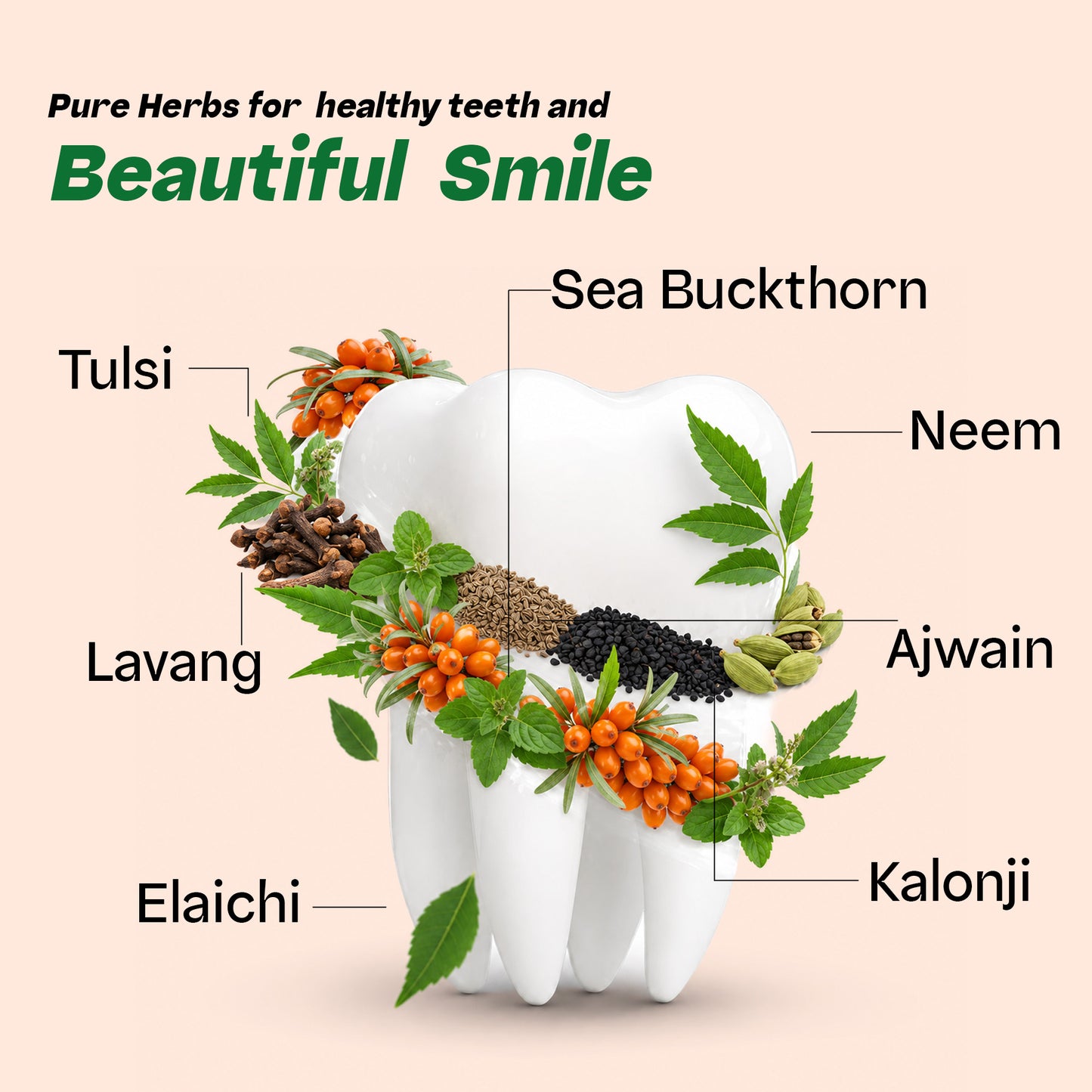 Vaidban Sea Buckthorn Dant Paste – Ayurvedic Toothpaste 100g
