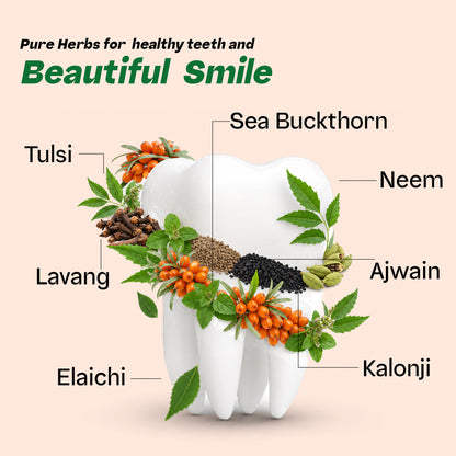Vaidban Sea Buckthorn Dant Paste – Ayurvedic Toothpaste 100g