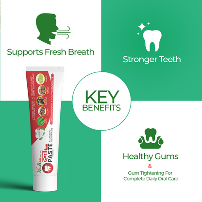 Vaidban Dant Paste - Ayurvedic Toothpaste for Gingivitis & Tooth Sensitivity (100gm) pack