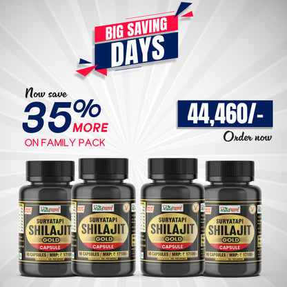 Vaidban Suryatapi Shilajit Gold - 100% Ayurvedic | for Strength, Stamina and Power
