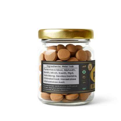 Vaidban PNM Goli for Ayurvedic Solution for Inflammation Relief