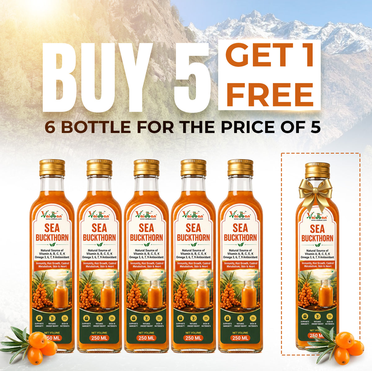 Buy 5 Get 1 FREE