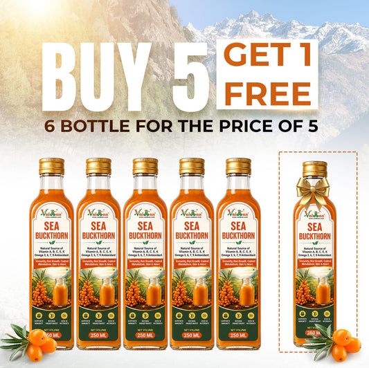 Vaidban Sea Buckthorn Juice 250ml – Natural Source of Vitamins A, B, C, E, K & Omega 3, 6, 7, 9