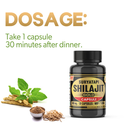 Vaidban Suryatapi Shilajit Gold - 100% Ayurvedic | for Strength, Stamina and Power