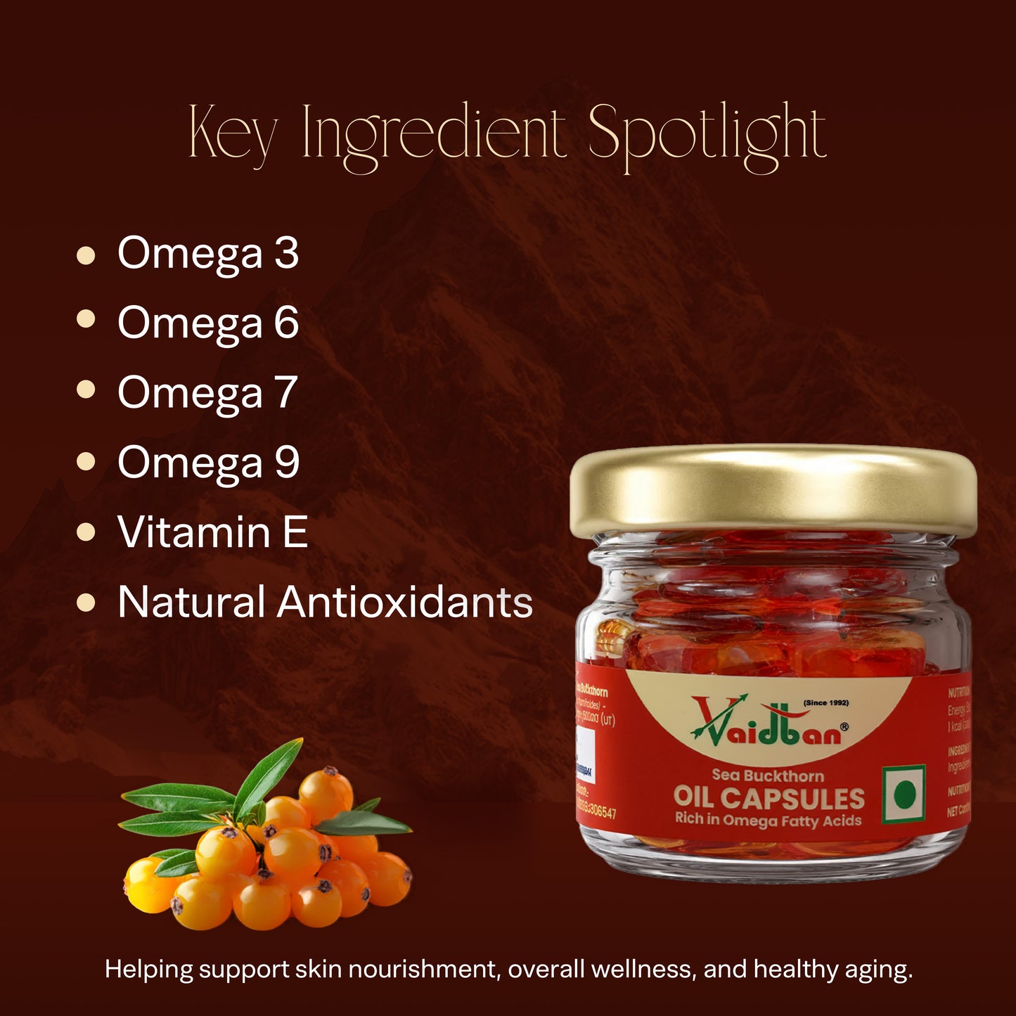 Vaidban Sea Buckthorn Oil Capsules – Rich in Omega Fatty Acids