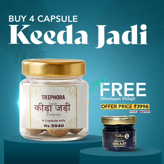 Triphora Keeda Jadi Capsule + Free Himalayan Shilajit + Free Creamy Mustard Honey – Ultimate Power Combo