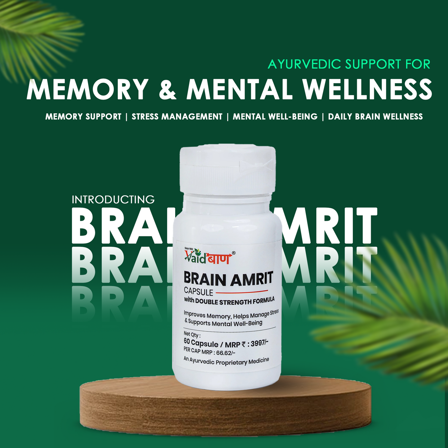 Vaidban Brain Amrit Capsule – Double Strength Formula