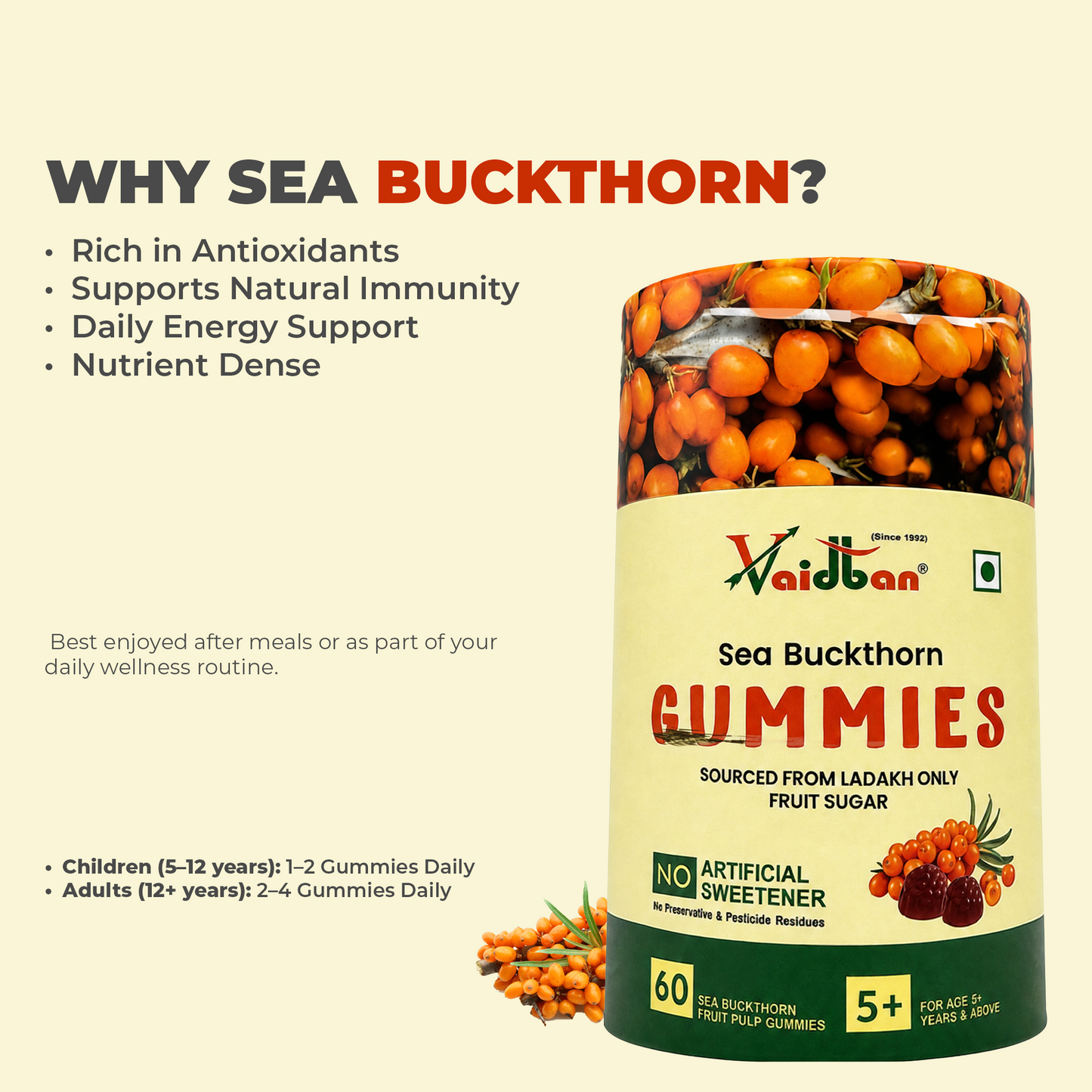 Vaidban Sea Buckthorn Gummies – 60 N | Sourced from Ladakh | No Artificial Sweetener
