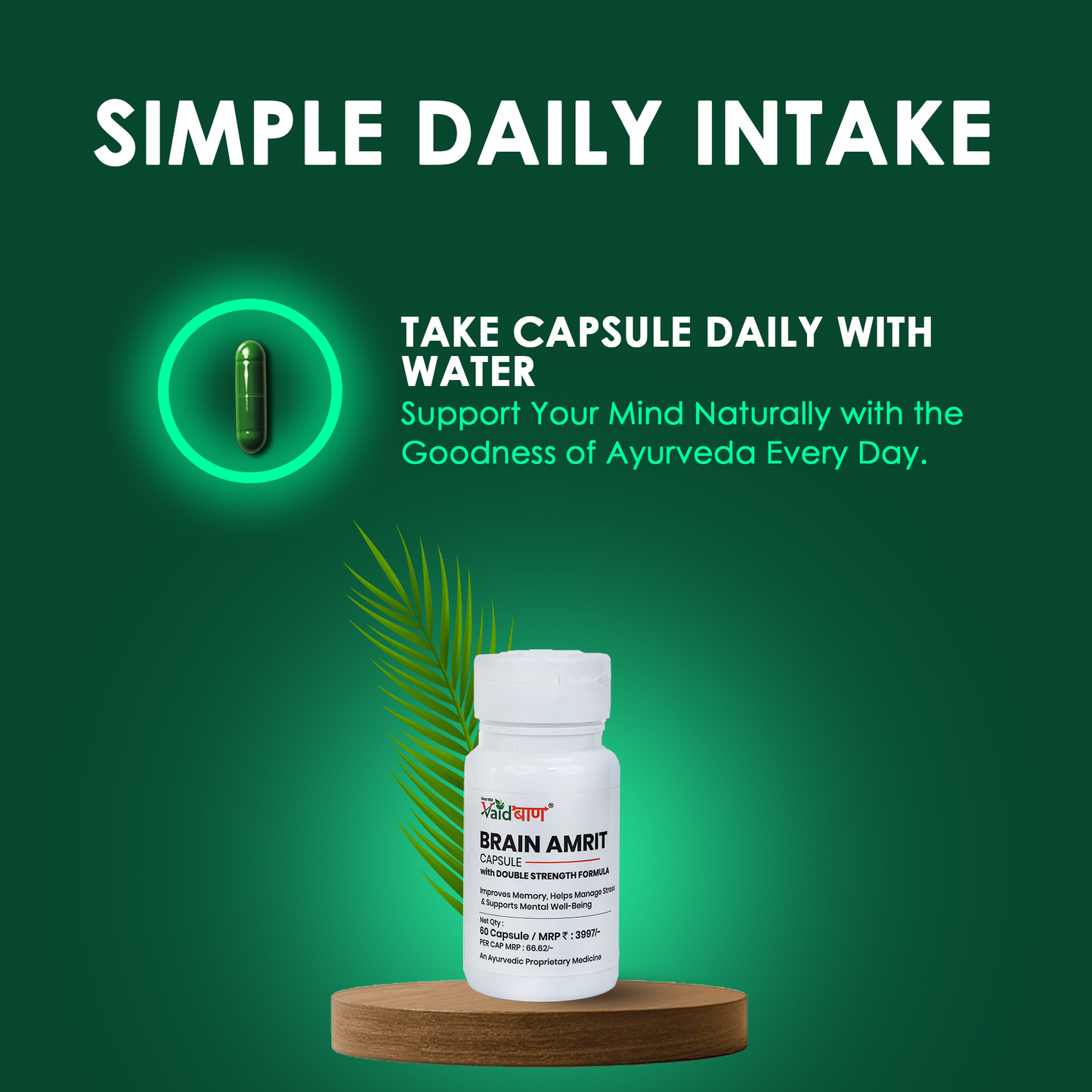 Vaidban Brain Amrit Capsule – Double Strength Formula