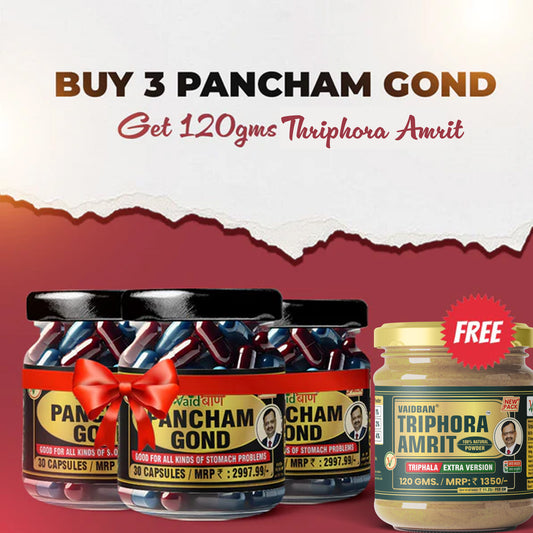 Vaidban Pancham Gond Combo – 3x Capsules + Free Triphora Amrit (Extra Version)  : Stomach Relief & Detox