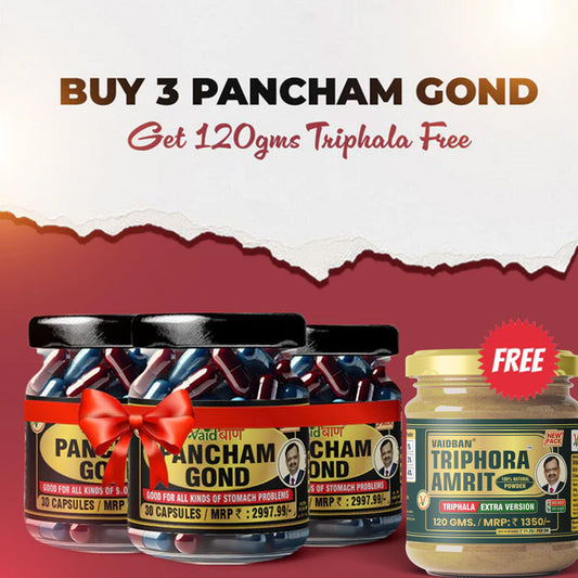 Vaidban Pancham Gond Combo – 3x Capsules + Free Triphala : Stomach Relief & Detox