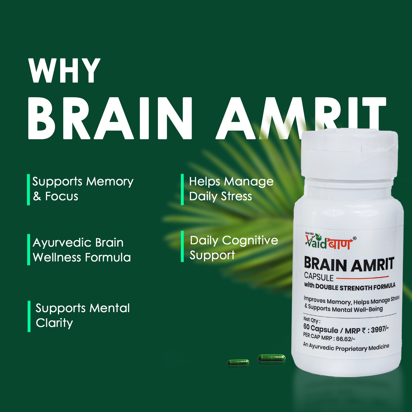 Vaidban Brain Amrit Capsule – Double Strength Formula