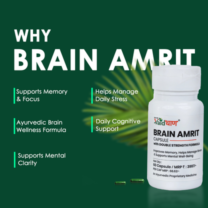 Vaidban Brain Amrit Capsule – Double Strength Formula