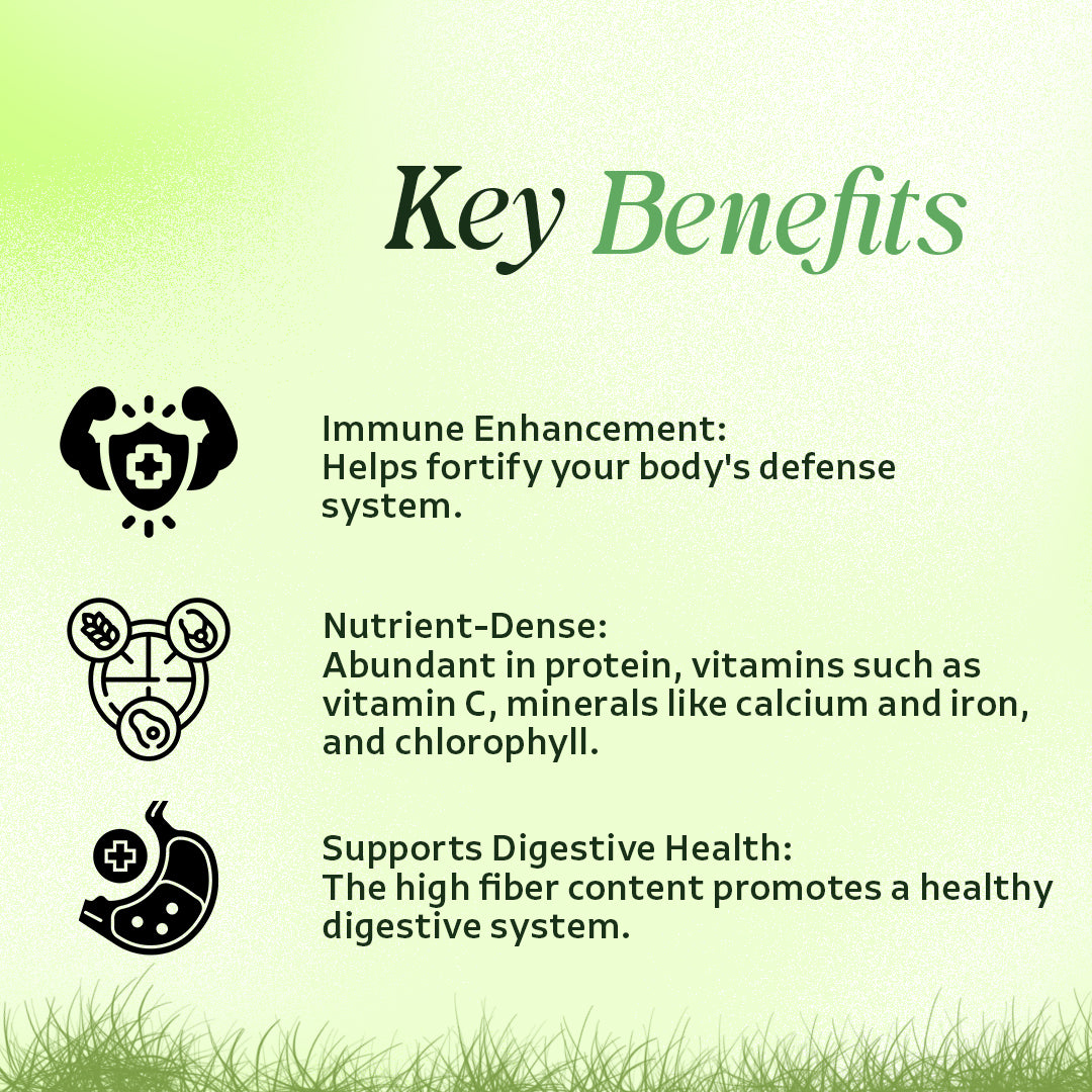 Vardhan Triticum Aestivum Fine Powder (Wheat Grass Powder) - 100 grams