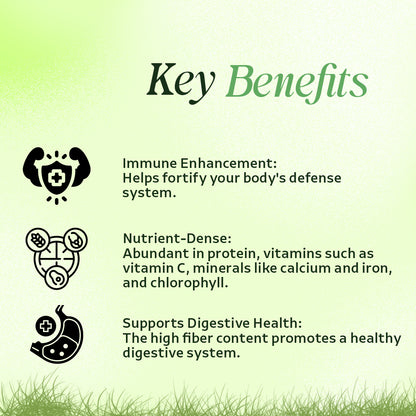 Vardhan Triticum Aestivum Fine Powder (Wheat Grass Powder) - 100 grams