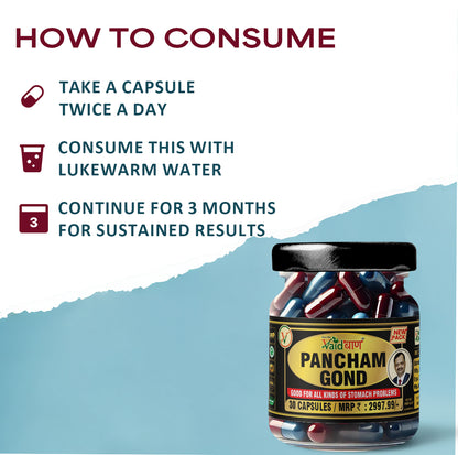 Vaidban Pancham Gond (30 Capsules) – Ayurvedic Capsules for Weight Loss & Gut Health