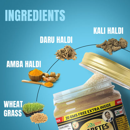 Vaidban Diabetic Control Powder - Natural Ayurvedic Solution for Balanced Blood Sugar Levels