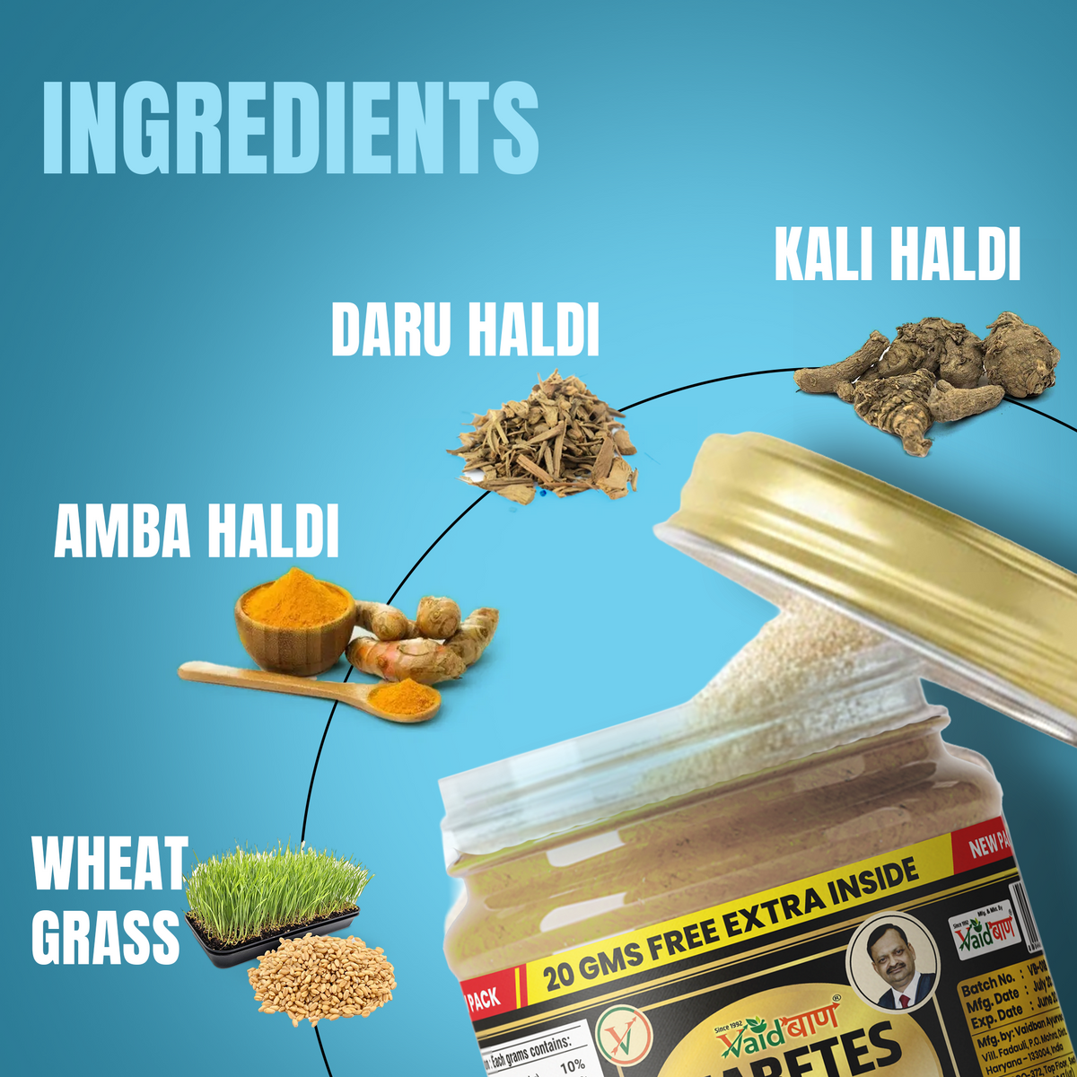Vaidban Ayurvedic herbal churna herbal ingredients panel