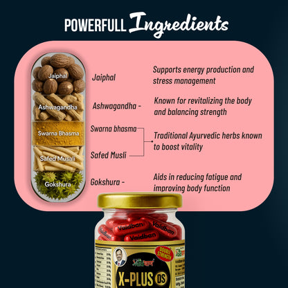 Vaidban X-Plus DS Gold – Double Strength Formula for Vitality & Wellness