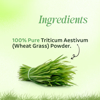 Vardhan Triticum Aestivum Fine Powder (Wheat Grass Powder) - 100 grams