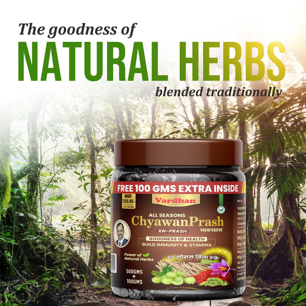 Vaidban All Seasons Chyawanprash – Immunity & Wellness in Every Spoon