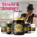 Vaidban Stress & Anxiety Care Kit - Comprehensive Mental Wellness Pack