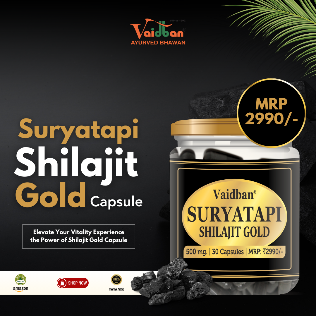 Vaidban Suryatapi Shilajit Gold ( 30 capsules )- 100% Ayurvedic | for Strength, Stamina and Power