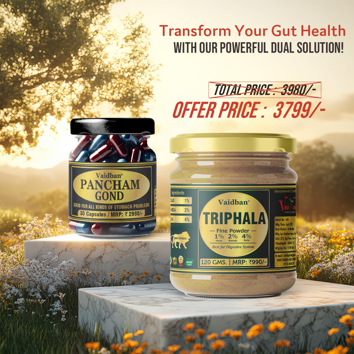 Vaidban Pancham Gond & Triphala – The Ultimate Digestive Health Combo and Weight Control!