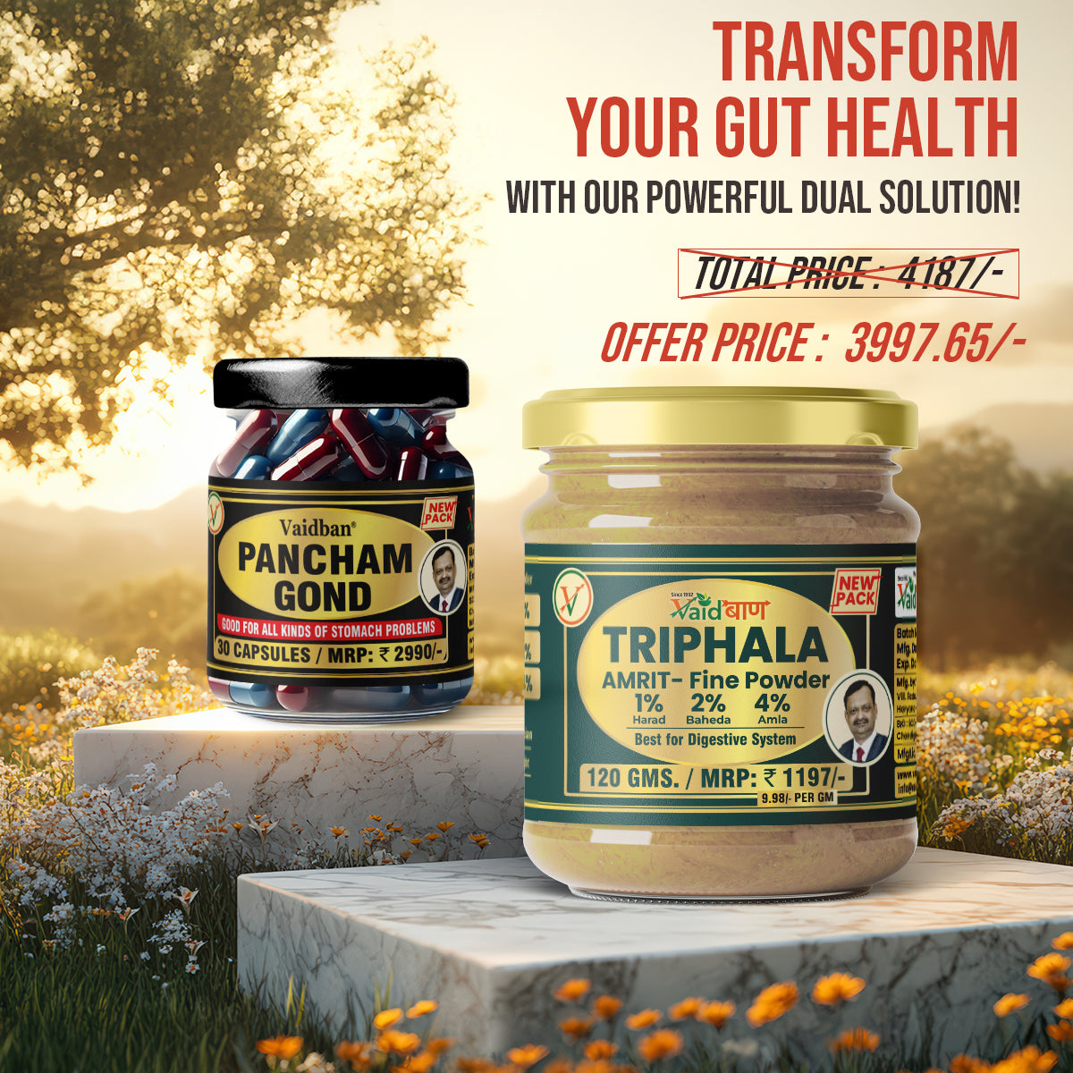 Vaidban Pancham Gond & Triphala – The Ultimate Digestive Health Combo and Weight Control!