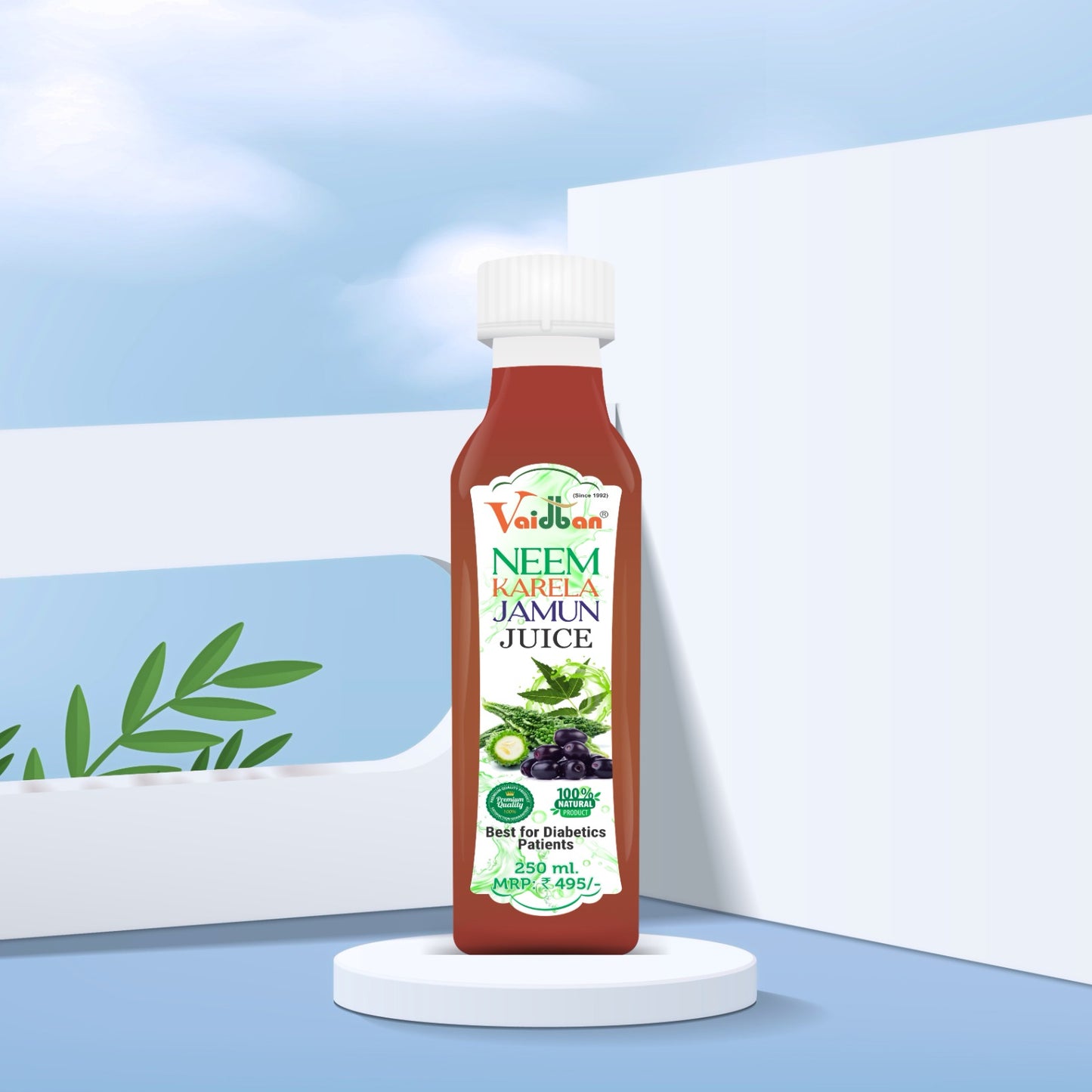 Neem karela jamun juice