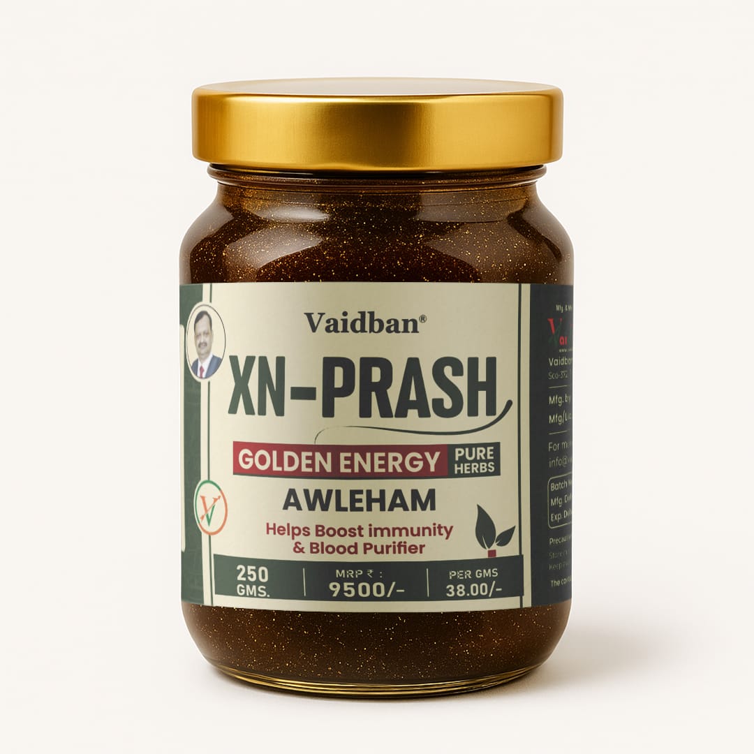 Vaidban XN-Prash Awleham – Golden Shakti Ayurvedic Chyawanprash for Immunity, Energy & Blood Purification | 250g
