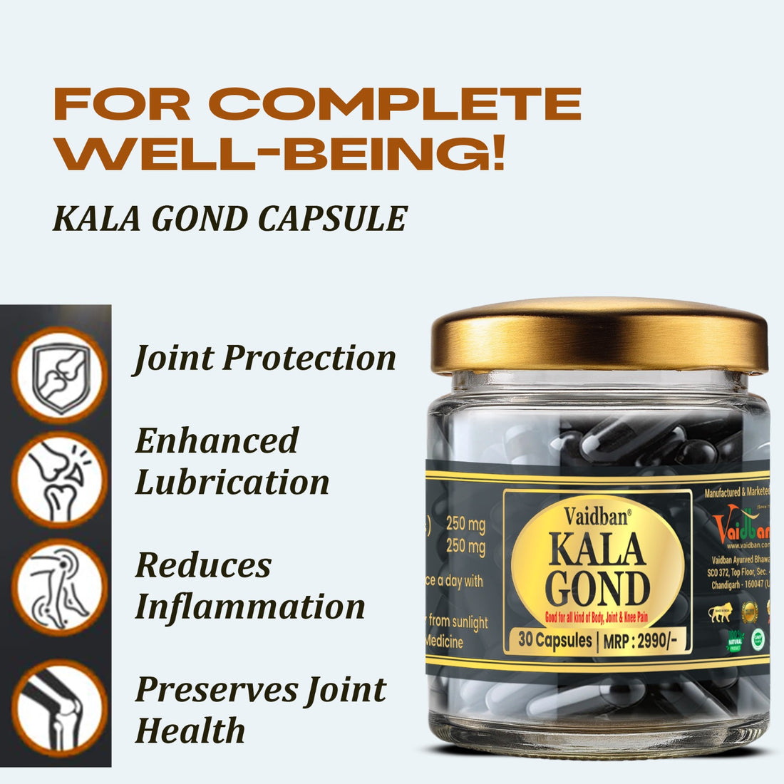 Vaidban Kala Gond Capsule - Pain Relief Capsule | Knee Pain