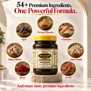 Vaidban XN-Prash Gold – Premium Chyawanprash with Gold Leaf for Energy, Stamina, Vitality & Anti-Ageing