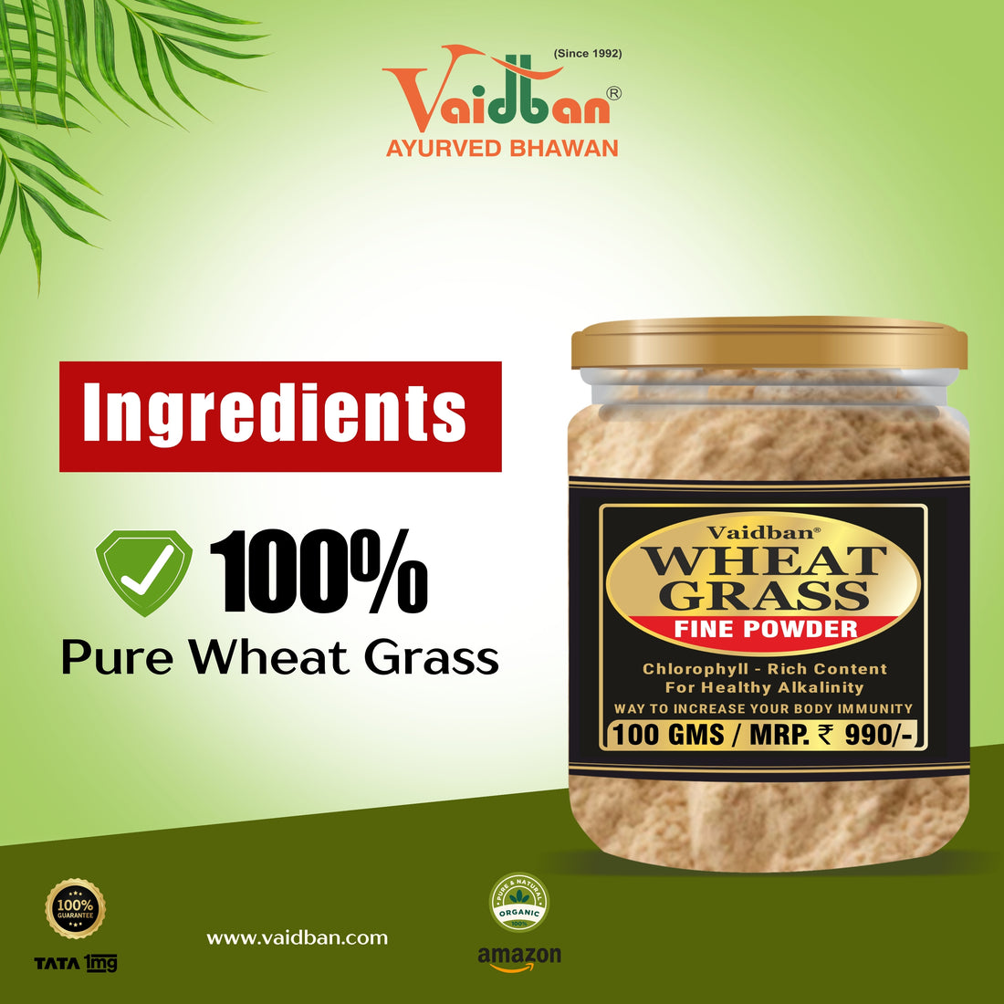 Vaidban Wheat Grass Fine Powder - Chlorophyll-Rich Superfood for Digestive Health & Immunity Boost