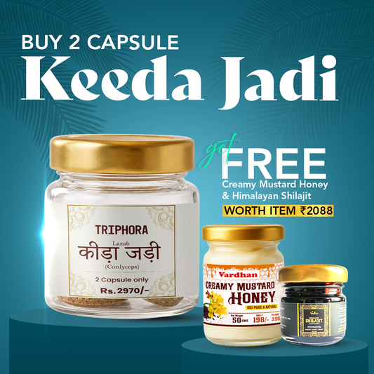 Triphora Keeda Jadi Capsule + Free Himalayan Shilajit + Free Pahadi Honey – Ultimate Power Combo