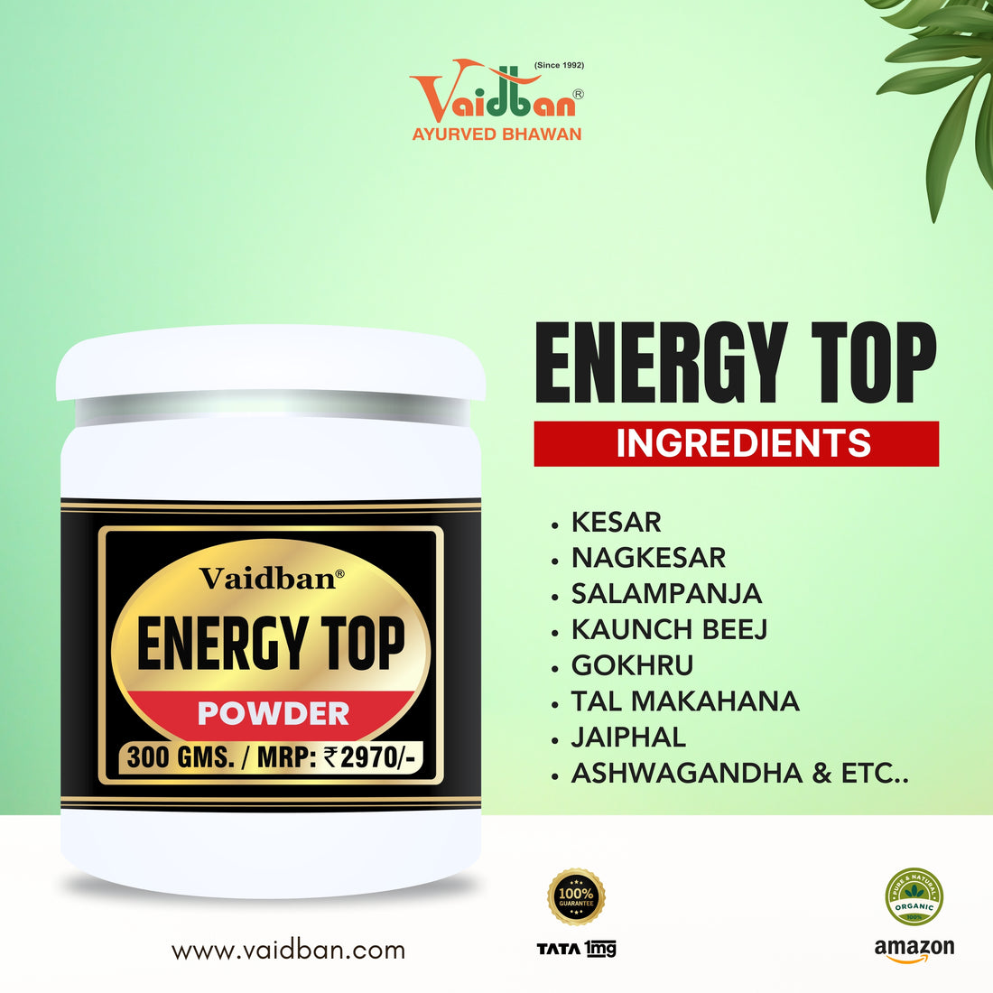 Vaidban Energy Top Powder - Your Natural Vigor and Vitality Enhancer