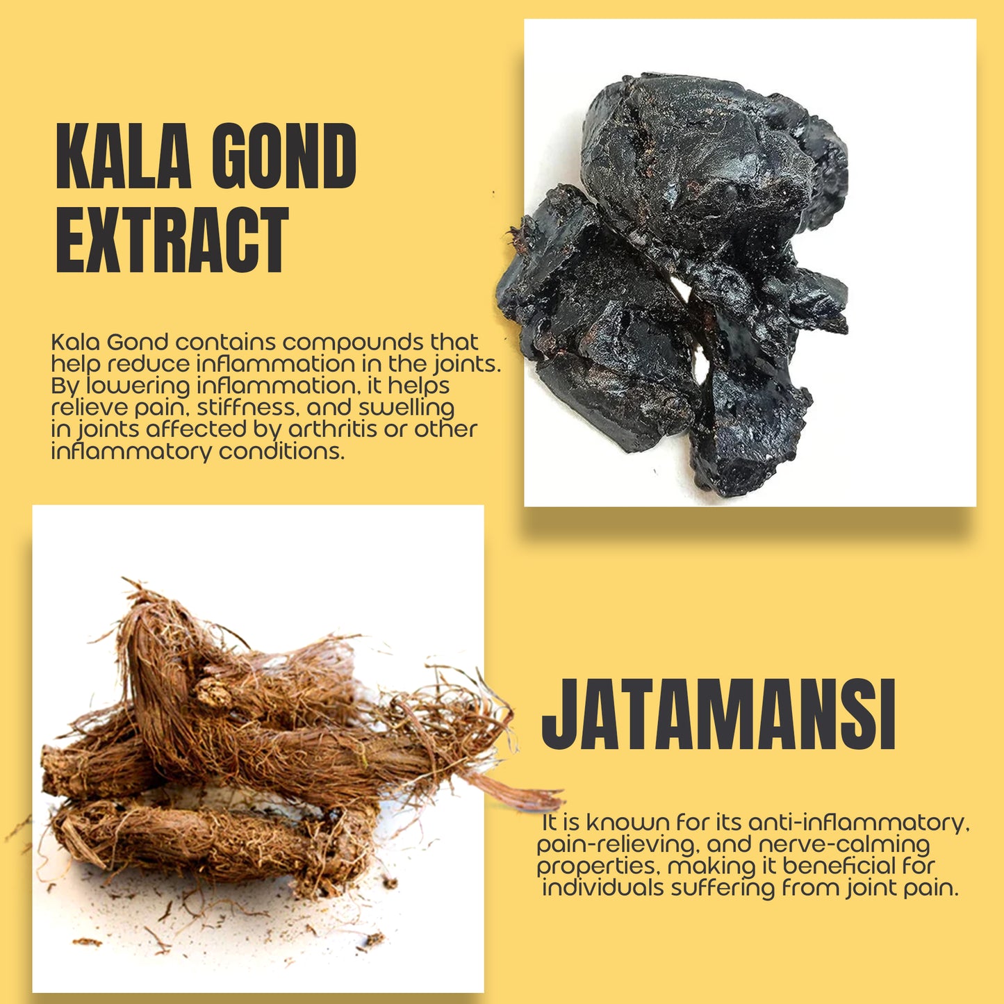 Vaidban Kala Gond Capsule - Pain Relief Capsule | Knee Pain