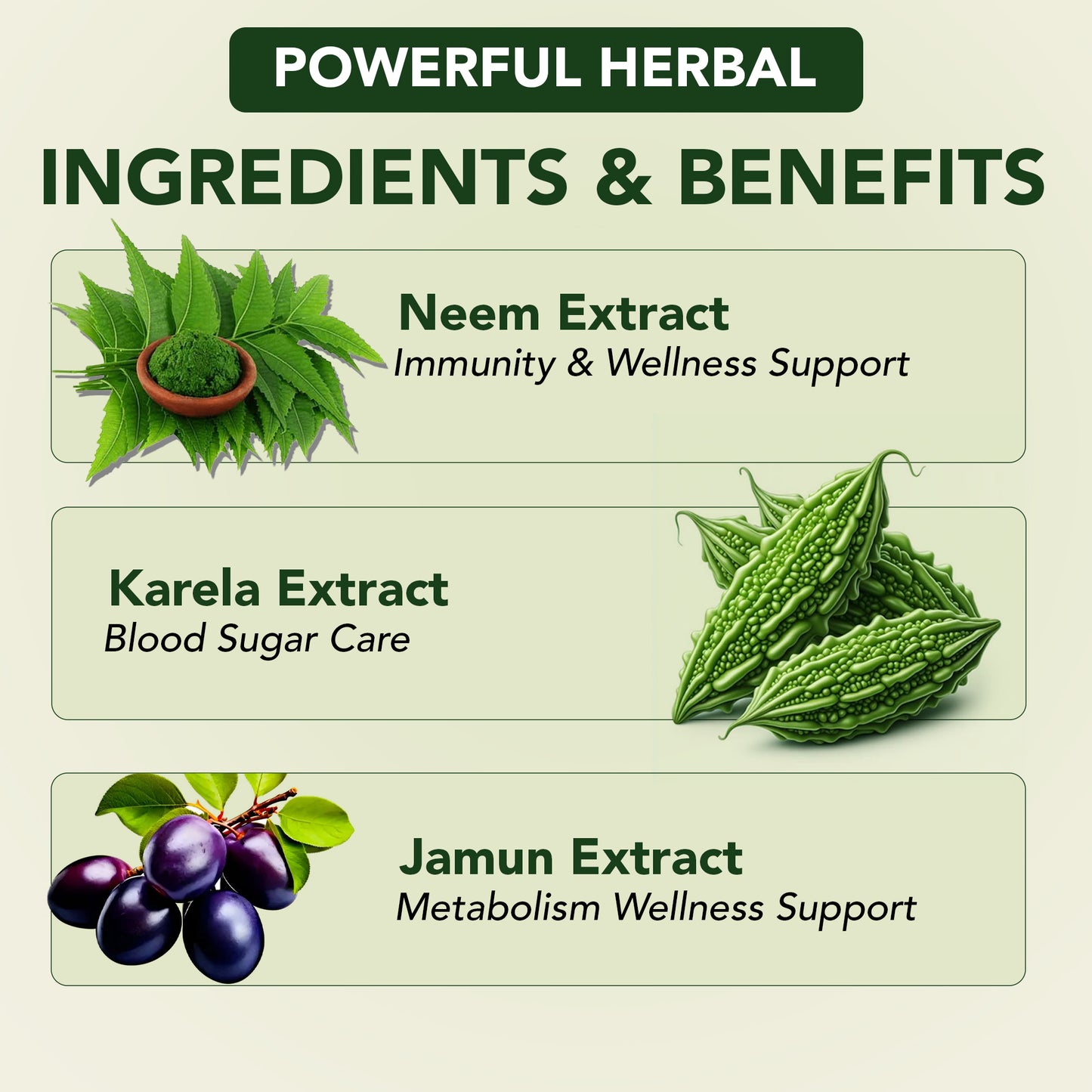 Neem Karela Jamun Powder – Natural Blood Sugar & Immunity Support