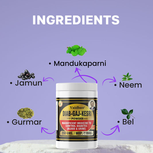 Vaidban DIAB-GAJ KESARI Powder - 250g Ayurvedic Diabetes Management